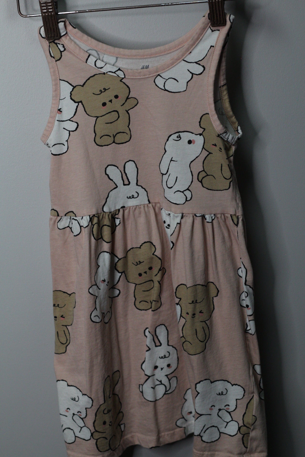 Rawr Dress & Sweater Bundle | Sizes 4–8