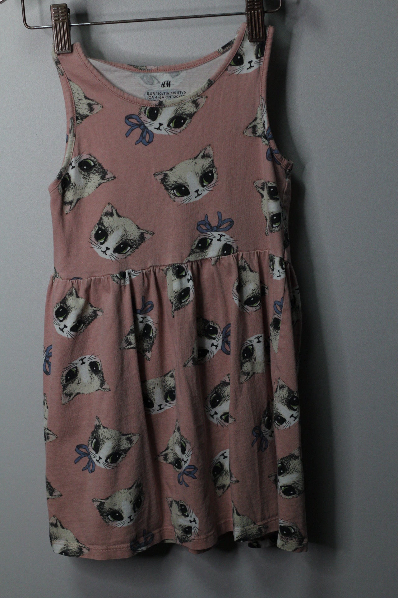 Rawr Dress & Sweater Bundle | Sizes 4–8