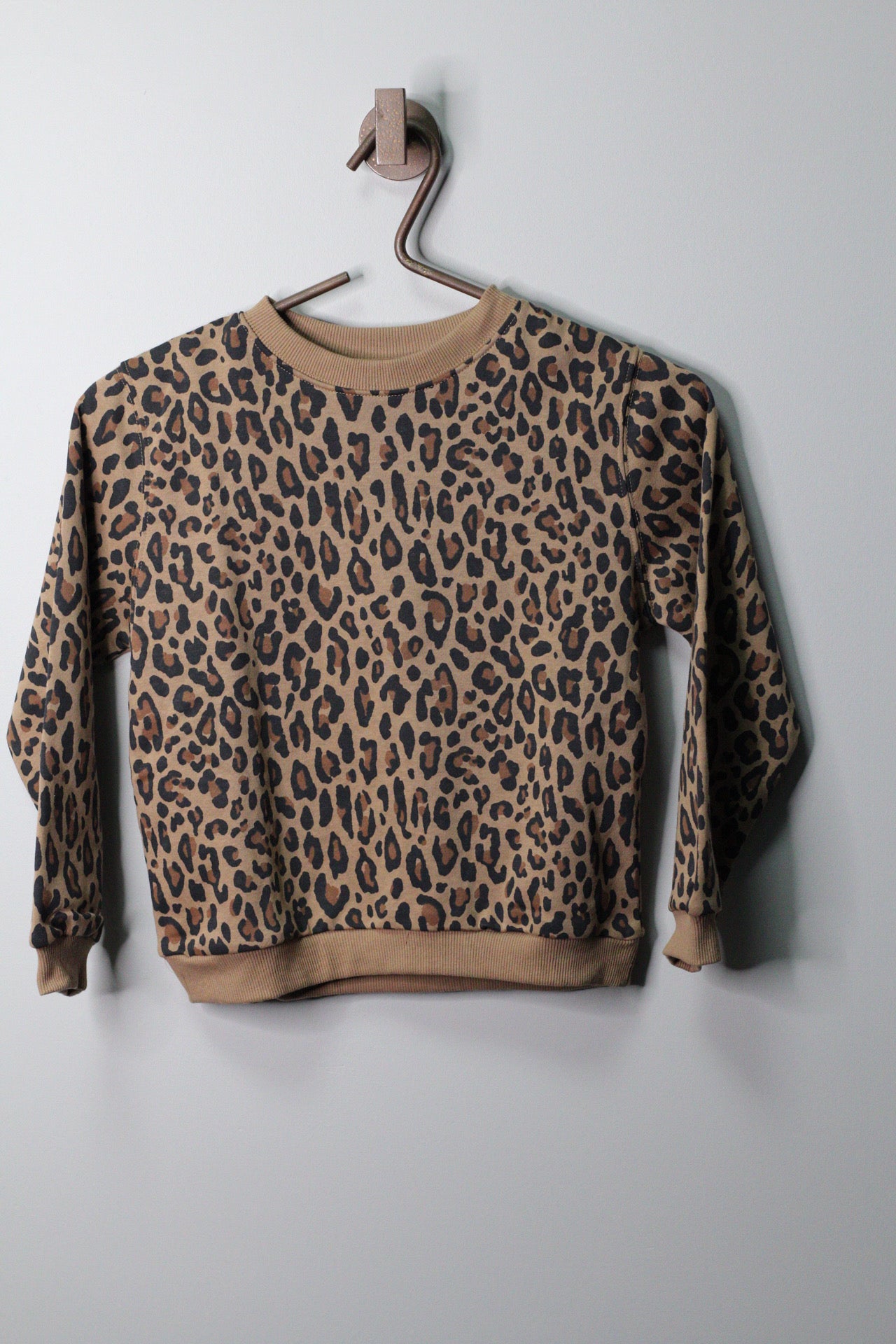 Rawr Dress & Sweater Bundle | Sizes 4–8