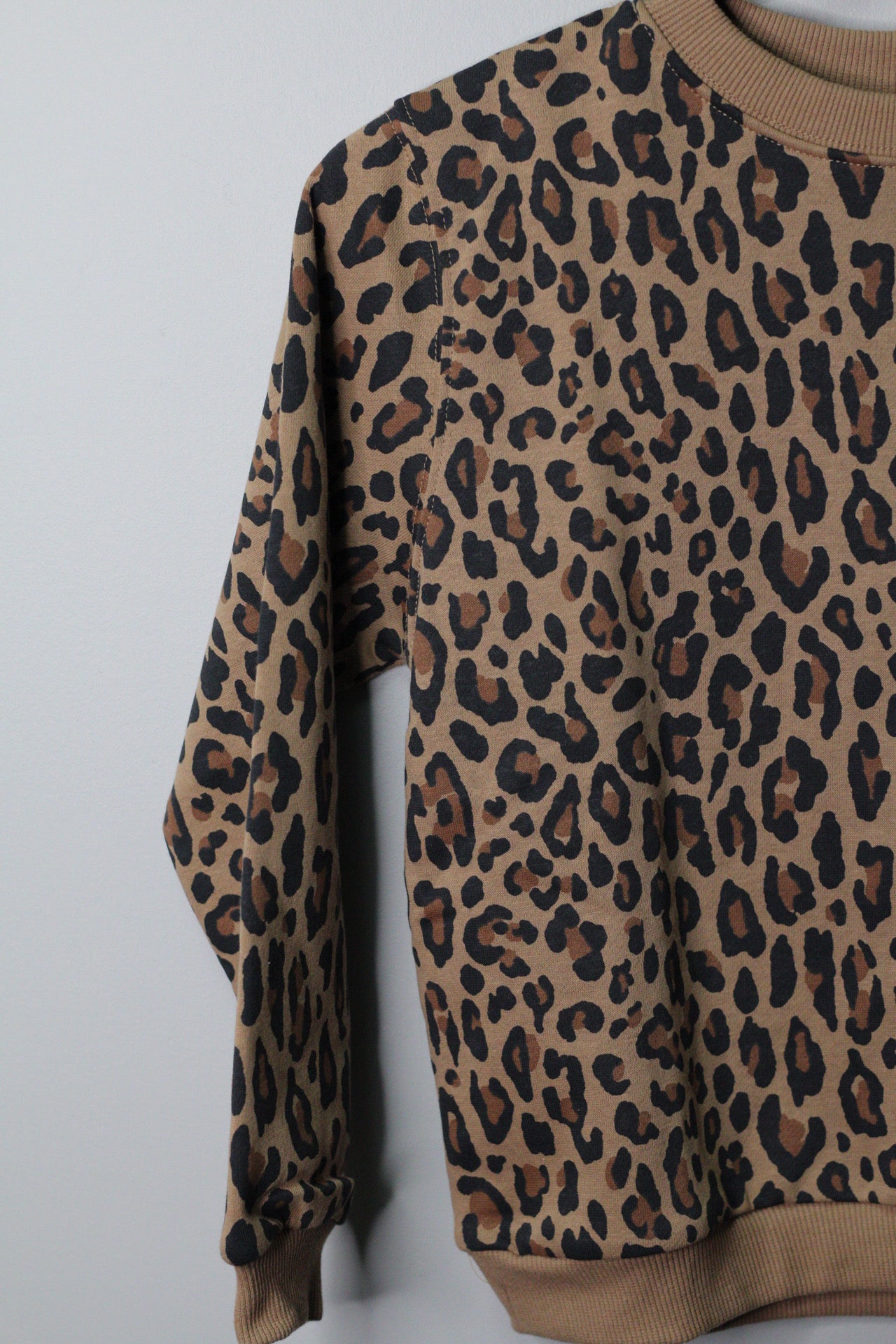 Rawr Dress & Sweater Bundle | Sizes 4–8