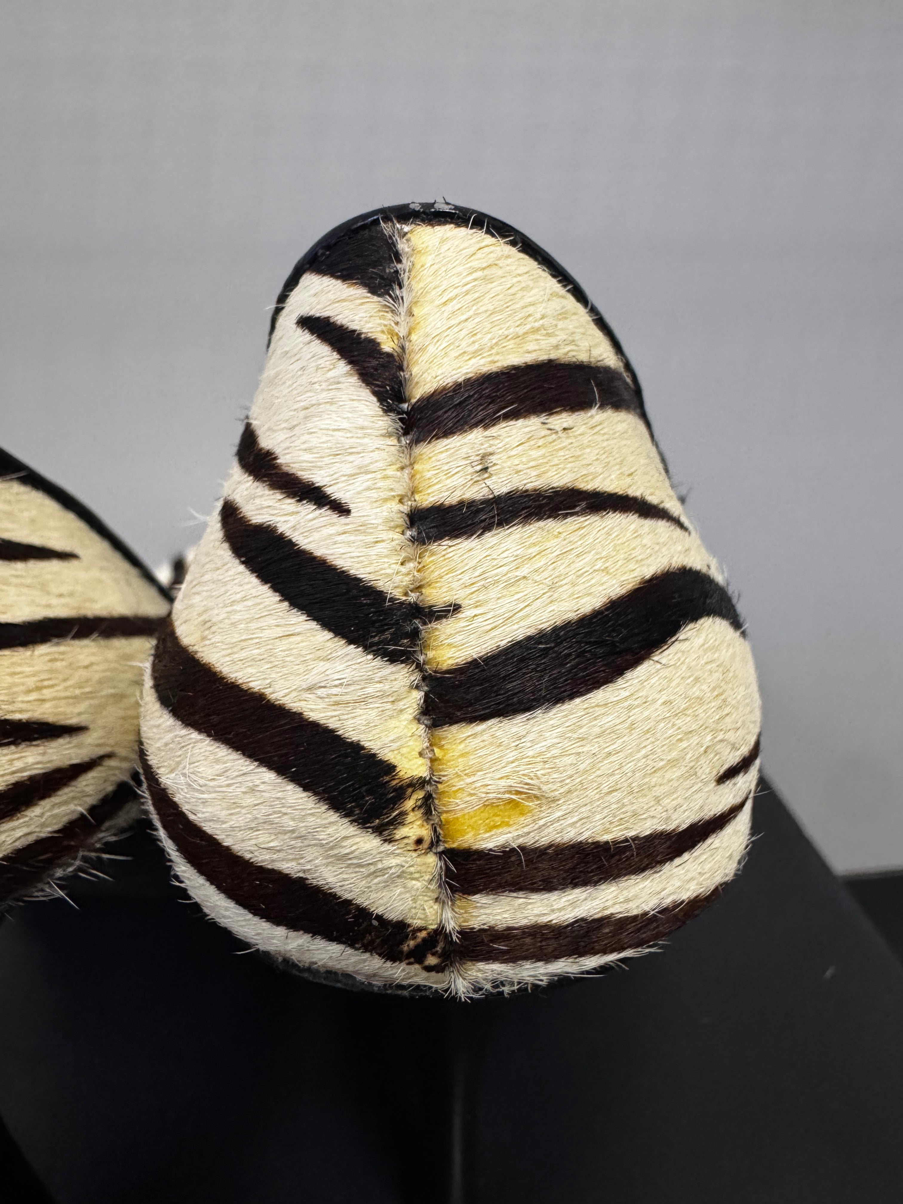 ALDO Zebra Calf Skin| size 38